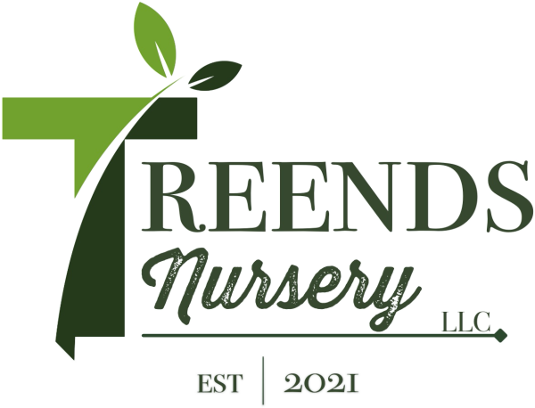 Treends Nursery